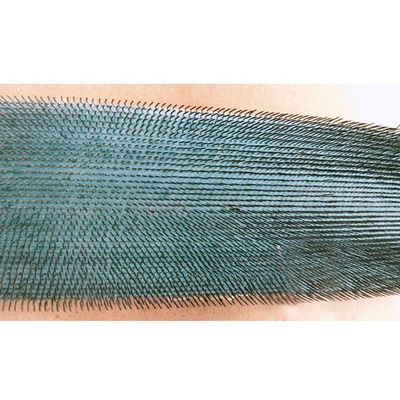 織物の巻上げはローラーの編む織機機械針のローラーをとる